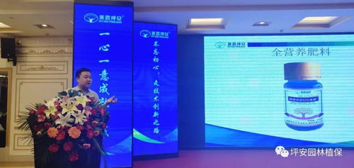 技术塑魂，服务立身 上海网络技术服务的创新与实践之路