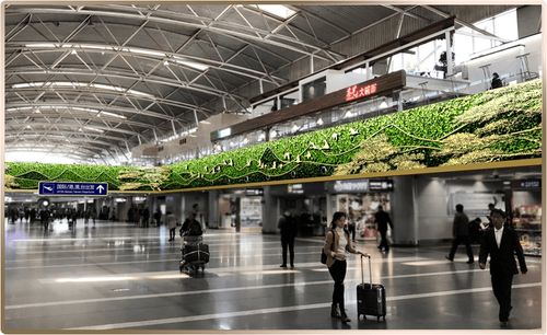 首都机场便民服务产品全新上线，上海网络技术服务助力智慧出行新体验